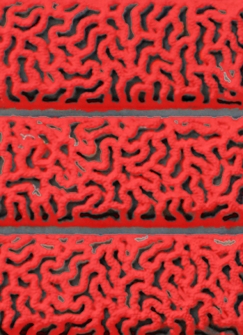 louvre contemporáneo 02